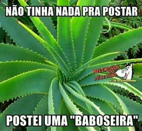 johnes # betalab (@perserbe_beta) on Twitter photo 