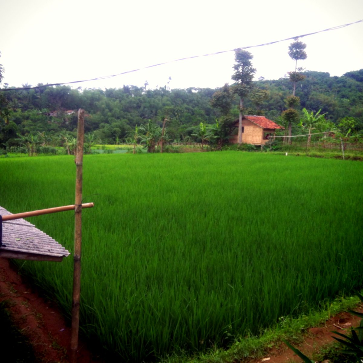 GozaliRyan's tweet photo. cuma di Indonesia yang alamnya indah beserta orangnya yang ramah #KadoUntukIndonesia https://t.co/DaLondZu8y