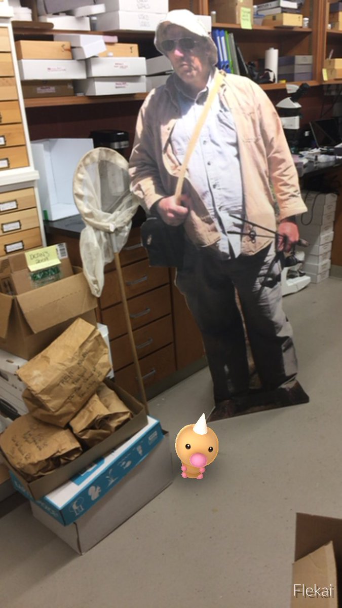 Trentomology's tweet photo. #PaperDave is great at catching insects, even in the lab! #PokemonGO https://t.co/0erZJeN0WP