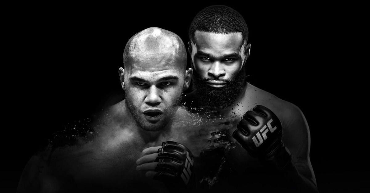 Knockout.no tweet media