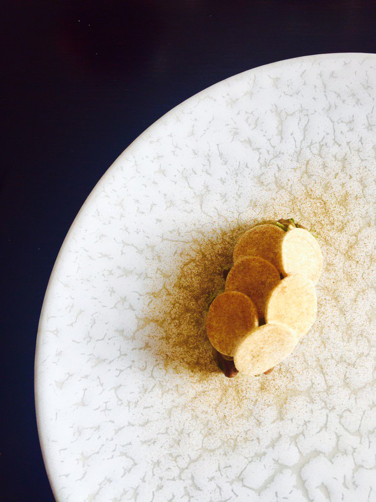 rosieoswin's tweet photo. @houseoftides @HeathSpooner fantastic https://t.co/s35TtdmokU