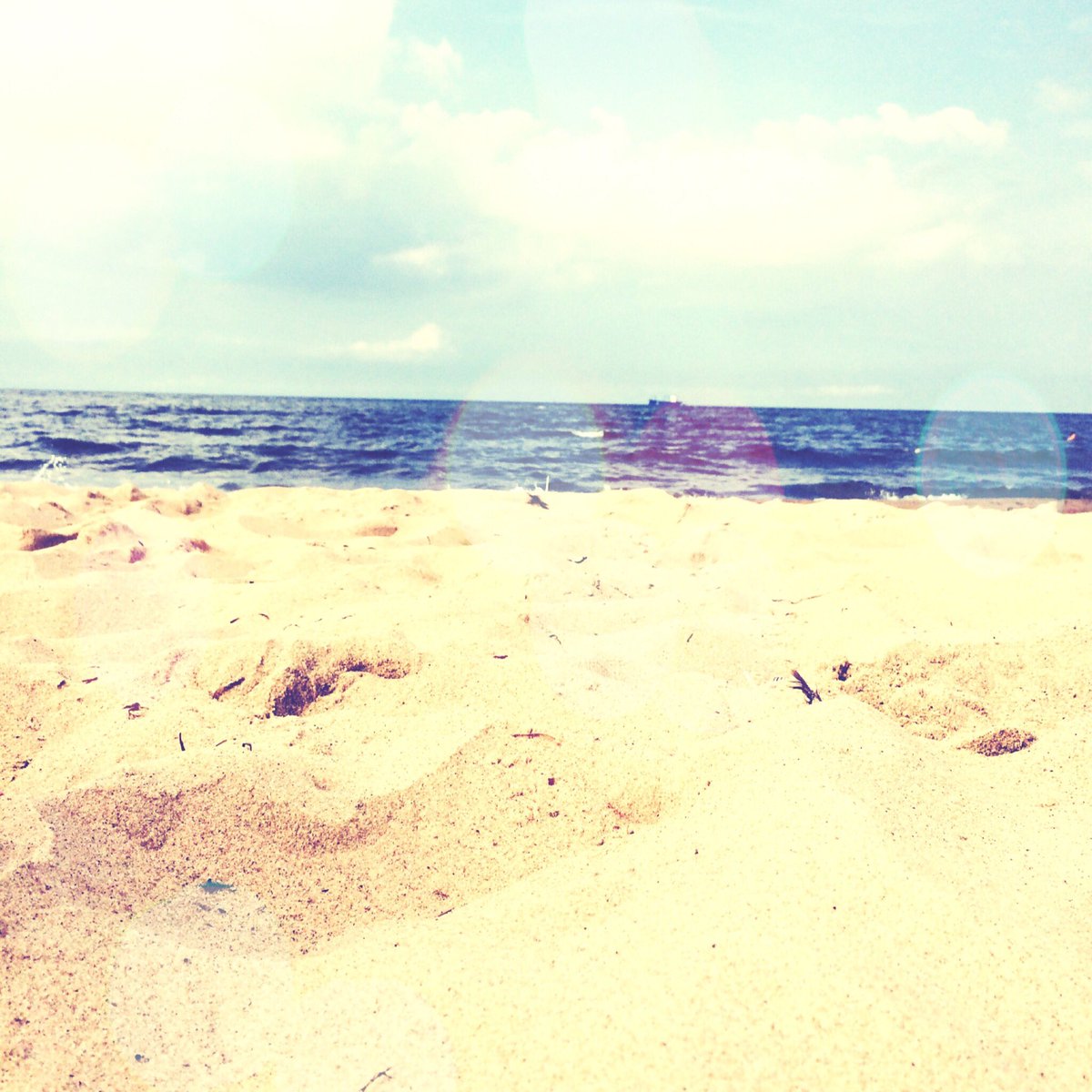 Wildmynt's tweet photo. #relax https://t.co/BWxHwnv9e9