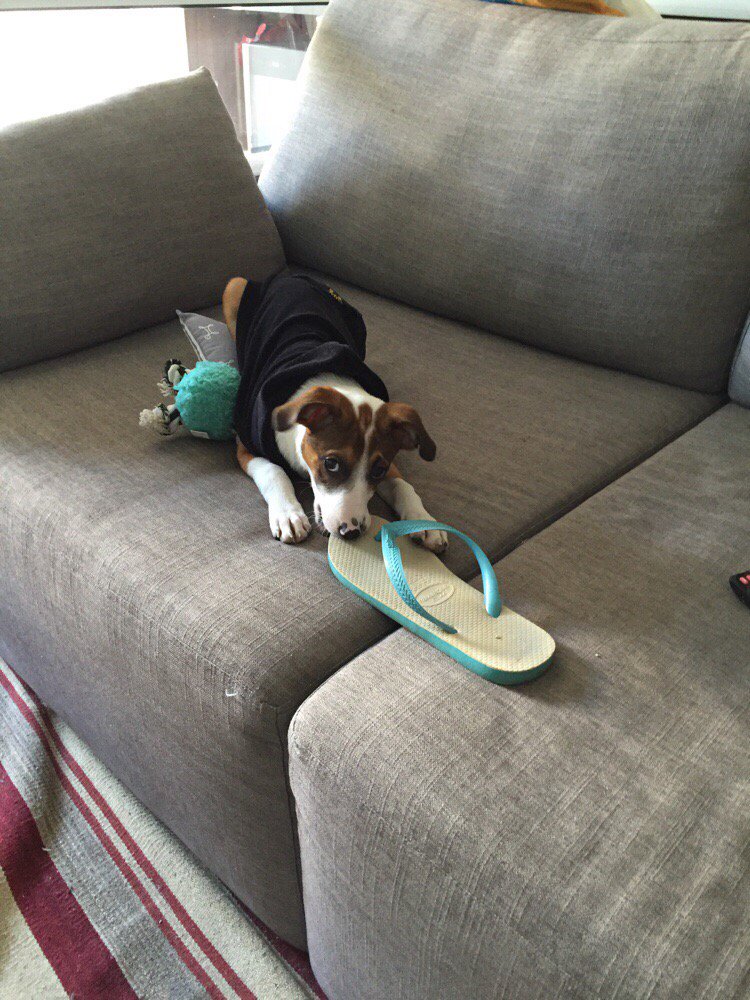 Zuppa (@zuppa) on Twitter photo 