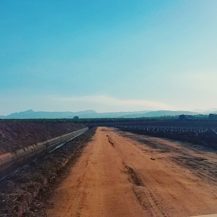 Beautiful farm view! #citrus #bananas #lowveld #tzaneen #farmroad #farminginsouthafrica  @FarmersWeeklySA