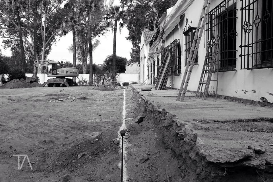 tousidonisanisi's tweet photo. Huerta de las Palmeras | En construcción | TΛ @TousidonisAnisi https://t.co/d0Uqkh5jOo