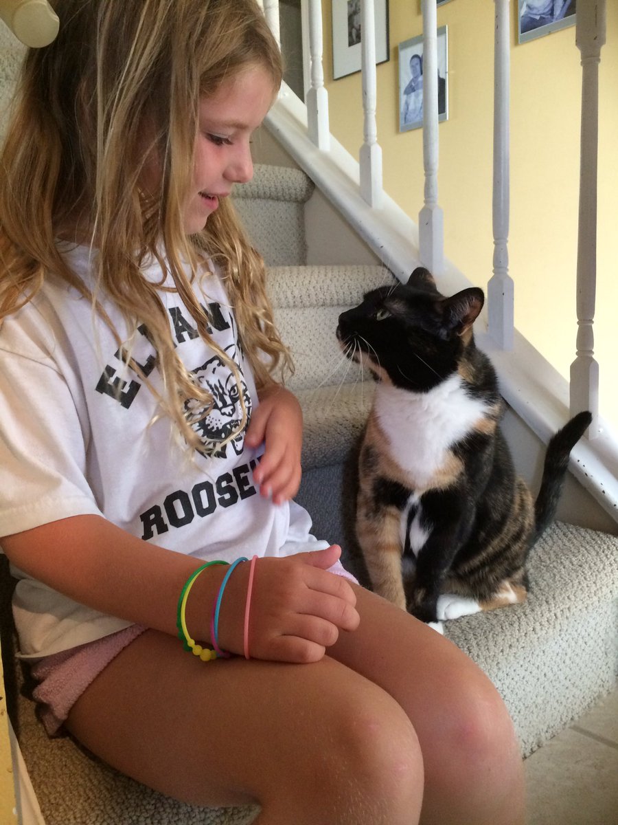 eyeheartJK's tweet photo. Shelter animals are the best #AdoptDontShop https://t.co/k2FuyCR587