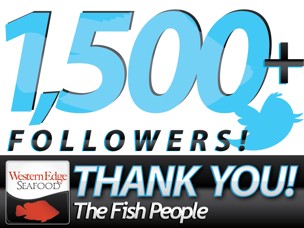 WES_Outlet's tweet photo. WOW! Thank you Twitterverse & to all 1,500 of our followers! We are truly blown away! MILESTONE! #FISHPPL #1500 https://t.co/zam0zSxQLp