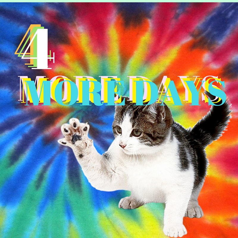 hellocathero's tweet photo. 4 DAYS PUR-LAZE IT, WE ARE EVIDENTLY PSYCATDELIC TO BRING YOU ALL OUR VIDEO ON MONDAY, CAT HERO SAVE US! https://t.co/NaNV7A1Ebr