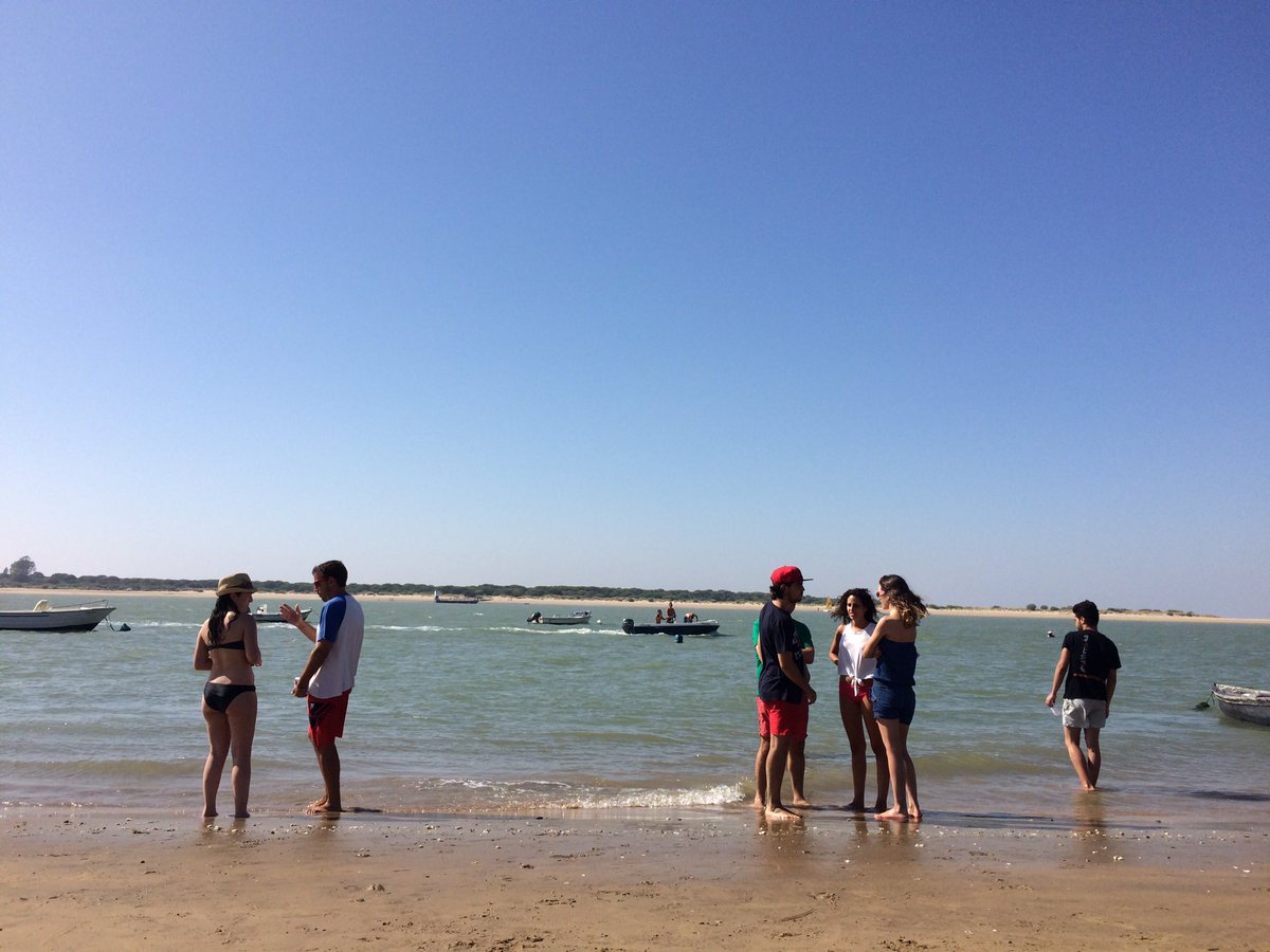 convicom1's tweet photo. Desierto en la playa. La esponja. https://t.co/dtJ4E7cJQI
