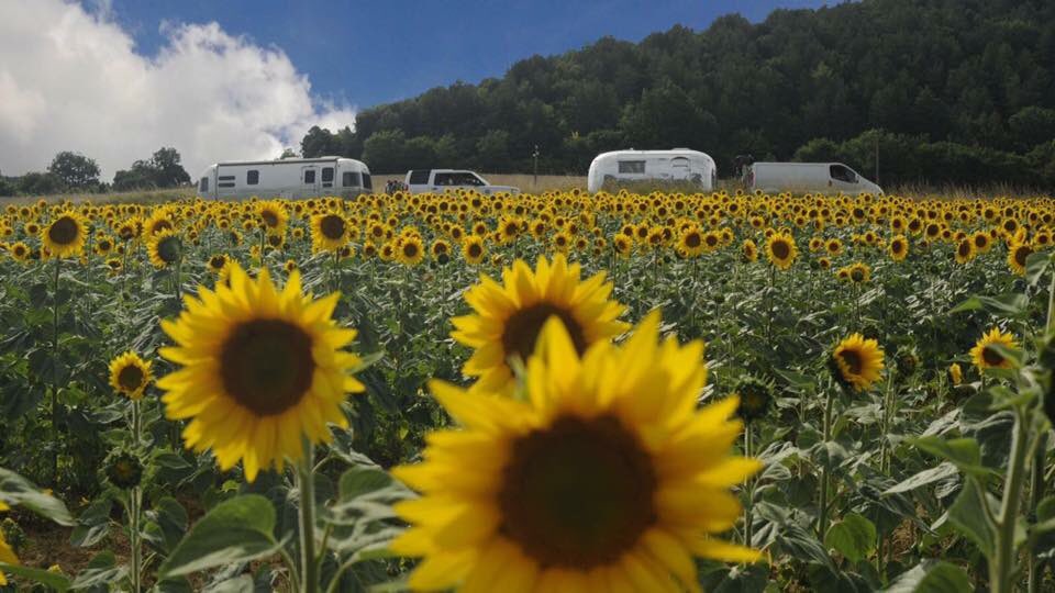 microminimus promo code