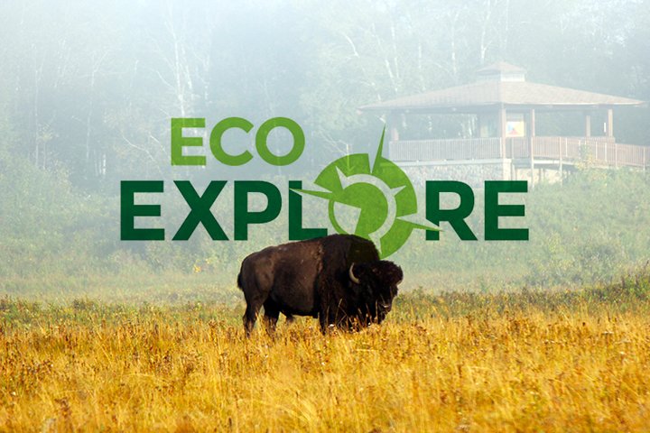 TravelManitoba's tweet photo. If you love prizes, the ecology & exploring Manitoba, become an Eco-Explorer: https://t.co/9Wukg3SJE4 #ecoexploremb https://t.co/ckCTEJYHQT
