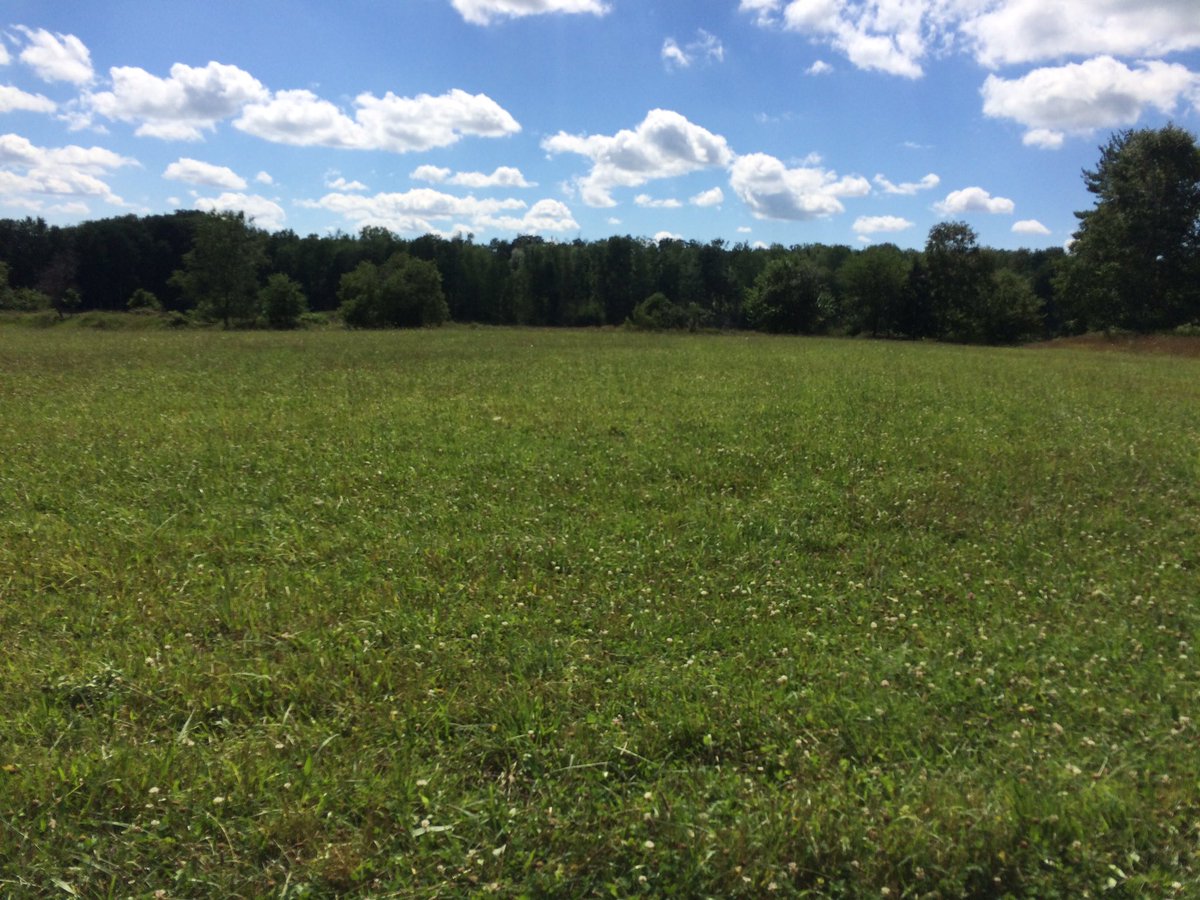 betheunstuck's tweet photo. Be Unstuck - don't wait for the beach to feel rejuvenated.  Green, lush fields for days! #everydayunstuck https://t.co/wiO2Q75IA3