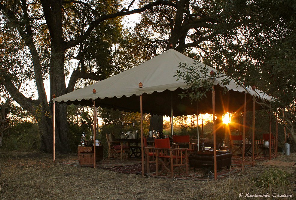MMS_Safaris's tweet photo. Tanda Tula Field Camp is the ultimate #walkingSafari experience reminiscent of a bygone era. #SouthAfrica https://t.co/QZHhtmkq8F
