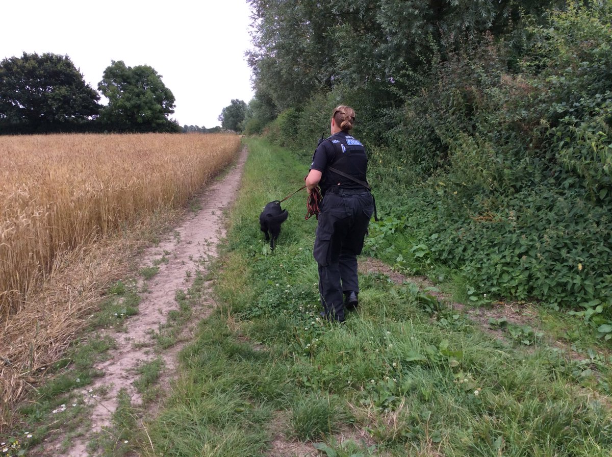 EssexPoliceUK's tweet photo. We're #OnDutyWith #EPDogs. PD Frankie has been training to track property dropped by suspects or missing people https://t.co/0F6Ad1dhoQ