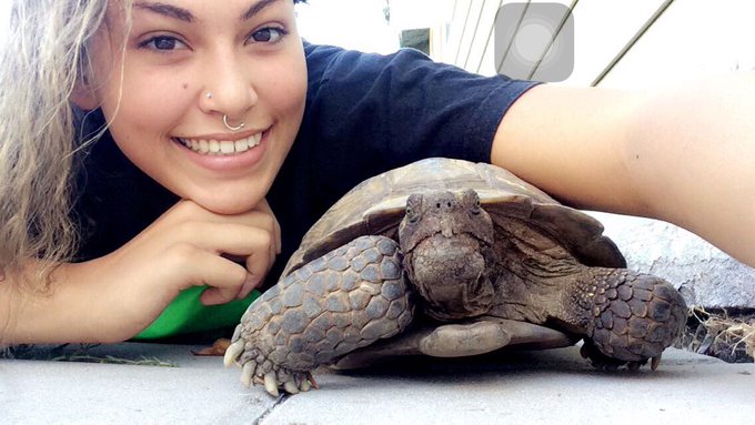 my baby koopa😈💗 https://t.co/AW3wlvASzs