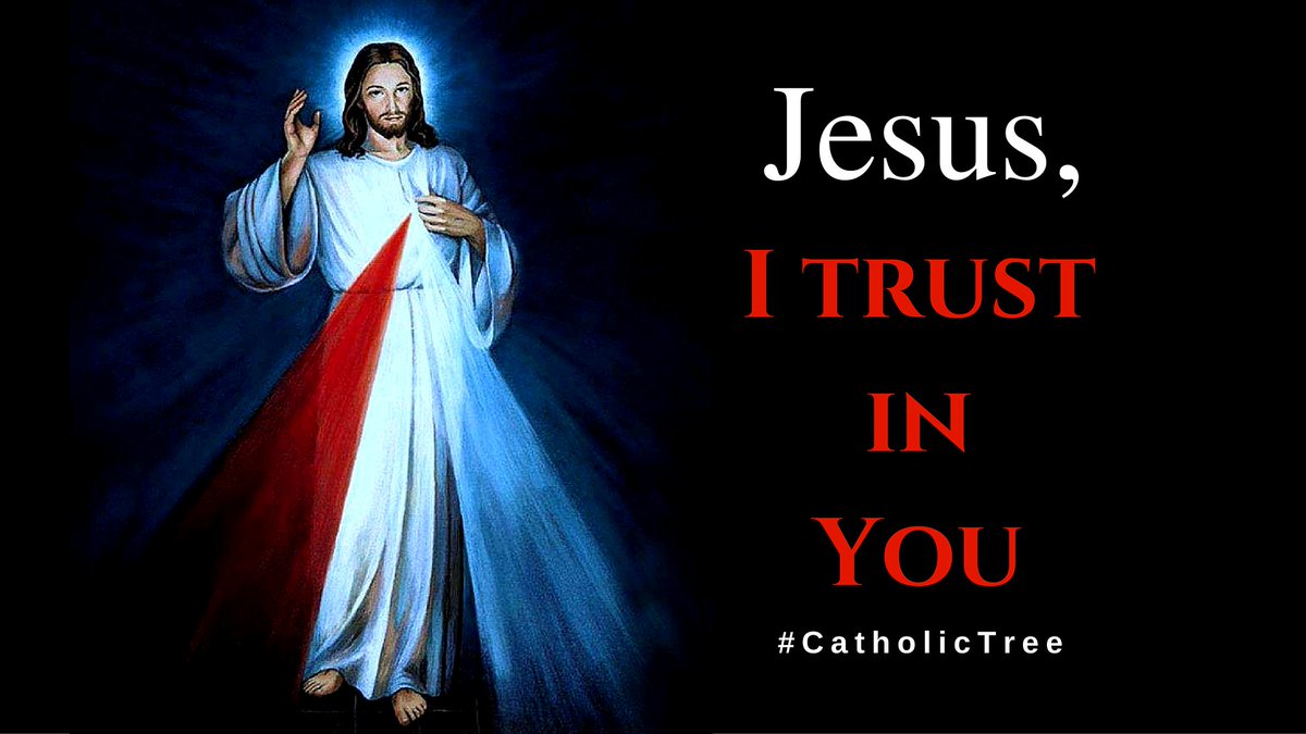 ItsCatholicJoy's tweet photo. Do you truly trust in Him? #ThursdayThoughts #DivineMercy #CatholicTree #Catholic https://t.co/1sZ7VHfbJB