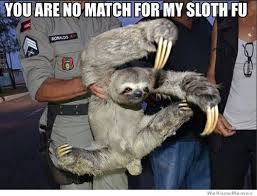 Bonus points if you include sloth puns! #teamrunner