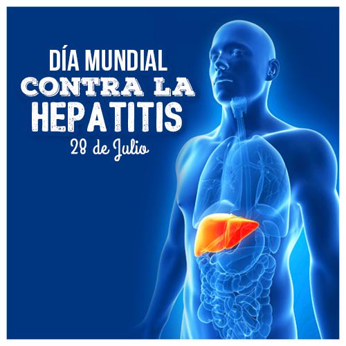 NeuroDgo's tweet image. ¡Buenos días! Hoy es el #DiaMundialContraLaHepatitis es importante cuidar nuestra salud con medidas preventivas.