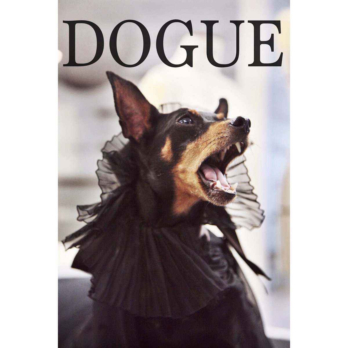 MatthewJAPayne's tweet photo. Photo, @JulienMacdonald X #DOGUE ft. #JakeMacdonald photographed by @MatthewJAPayne https://t.co/AGIxQTb9JL