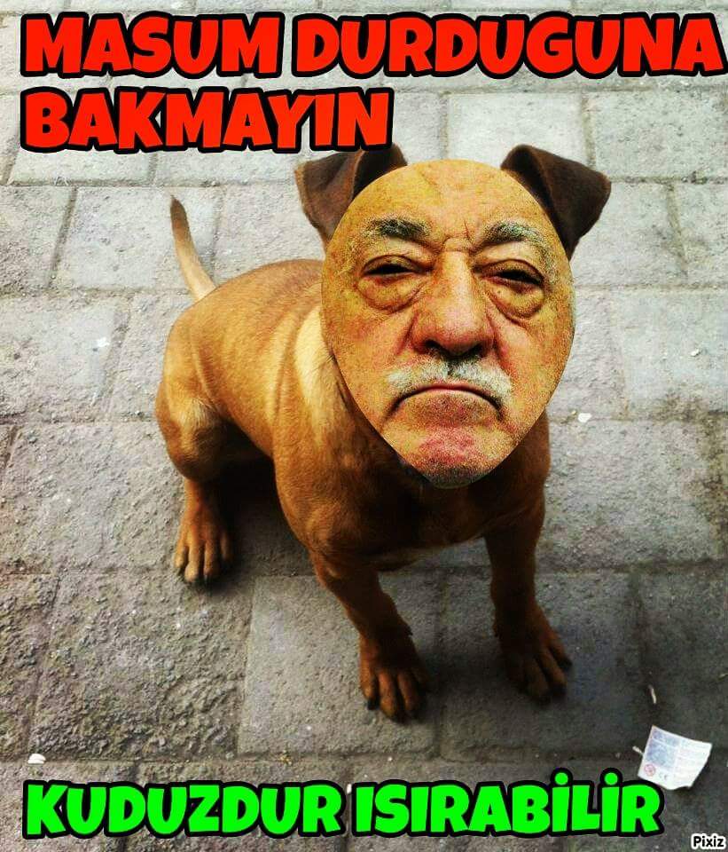 @huysuz__tatli Fetö ve ekibi tasma takıyor.