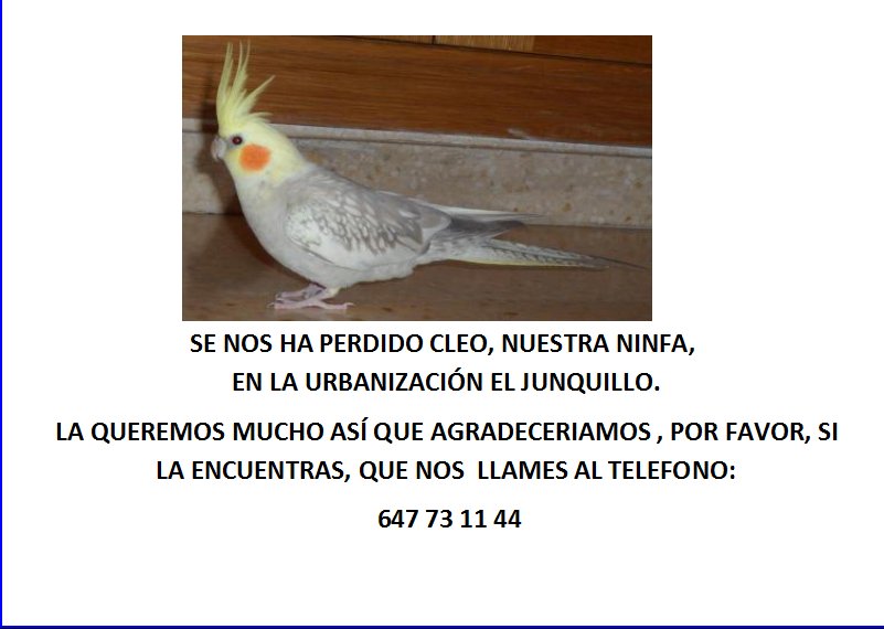 josericca97's tweet photo. Maxima difusion al ser posible, por favor, lo necesitamos https://t.co/jAgBIlLr0V