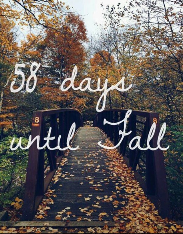 light_missy's tweet photo. Can't come #soonenough y'all https://t.co/LbEdfN0DHz