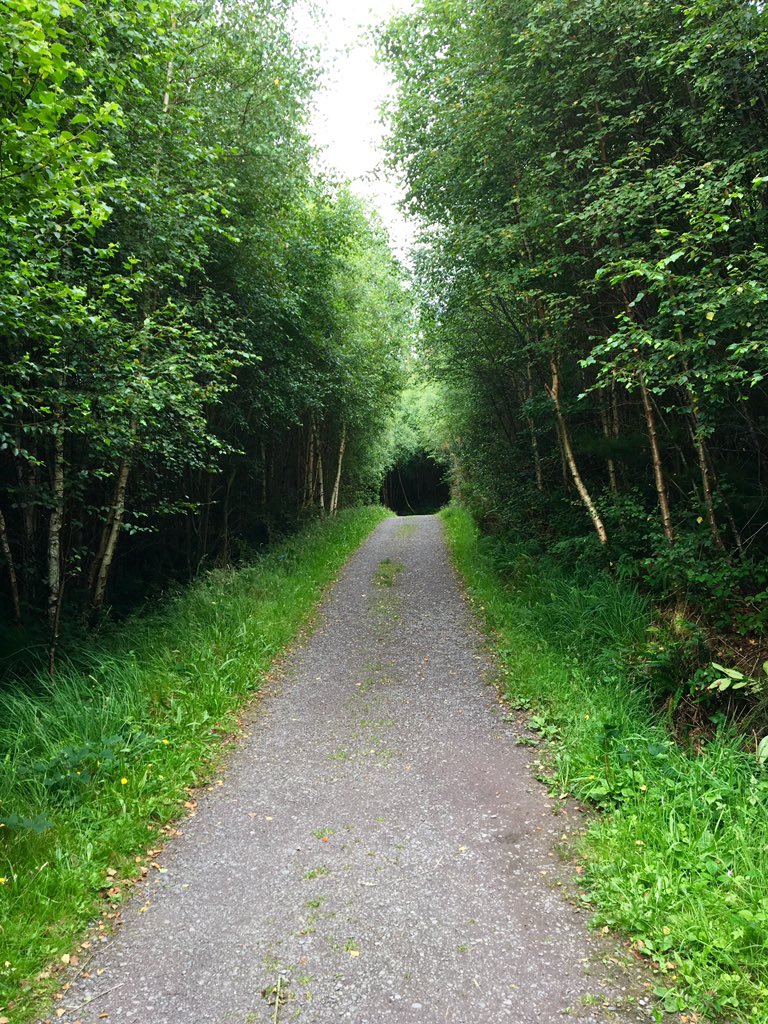 Edge Cork tweet media