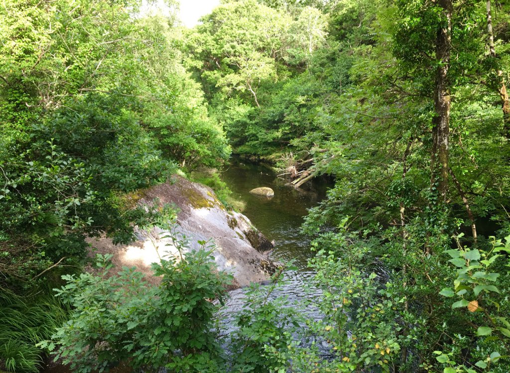 Edge Cork tweet media