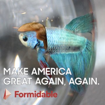 ryan_the_fish's tweet photo. @ryan_the_fish https://t.co/MLWWtBQFPr