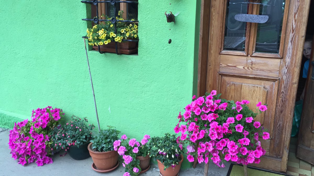 GarstigsWeibi's tweet photo. #flowerpower https://t.co/Iib4xLtvTw