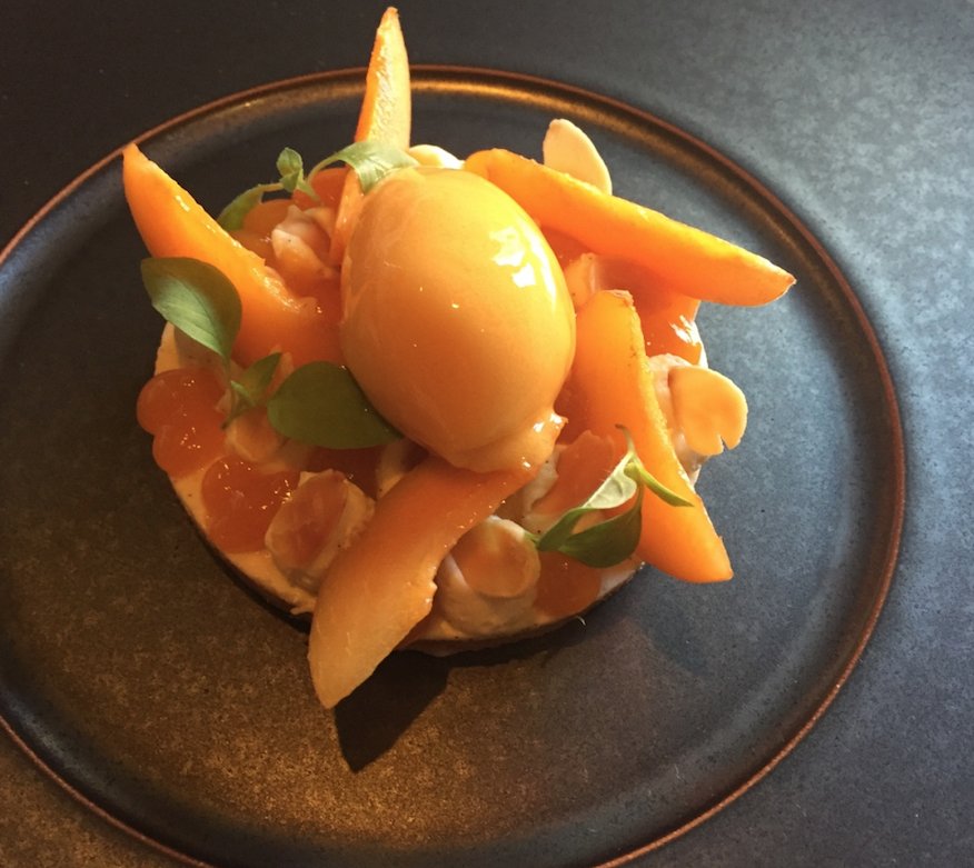 aucrocodile67's tweet photo. Un peu de gourmandise... #aucrocodile #dessert #menuaffaire #michelinstar #abricot #vanille #foodporn #yummy https://t.co/OGUhSbWguu