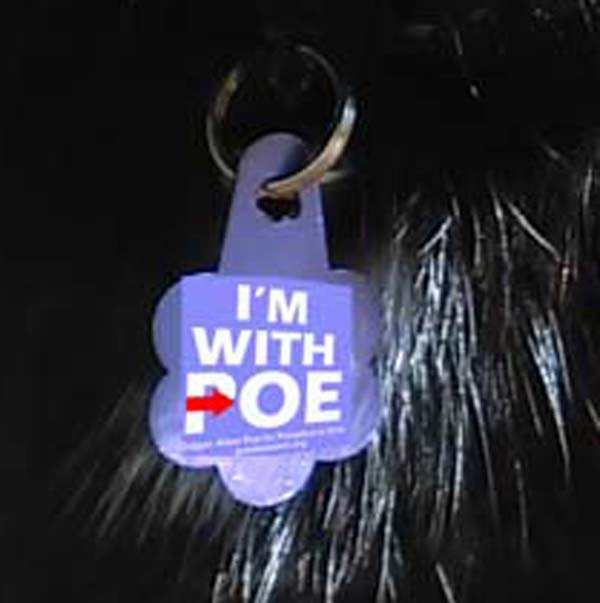ChrisatthePoe's tweet photo. #PoeMuseumCat is going to #VotePoe to make America read again! #PoeMuseum #RVA #EgdarAllanPoe #cats #blackcat https://t.co/pPPPTlNhMT