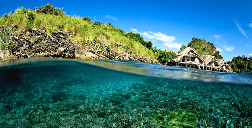 SecretRetreats's tweet photo. Home to sharks, @misoolecoresort has 14 bungalows located either on the beach or over the water #secretretreats https://t.co/Lrr82EtWK4