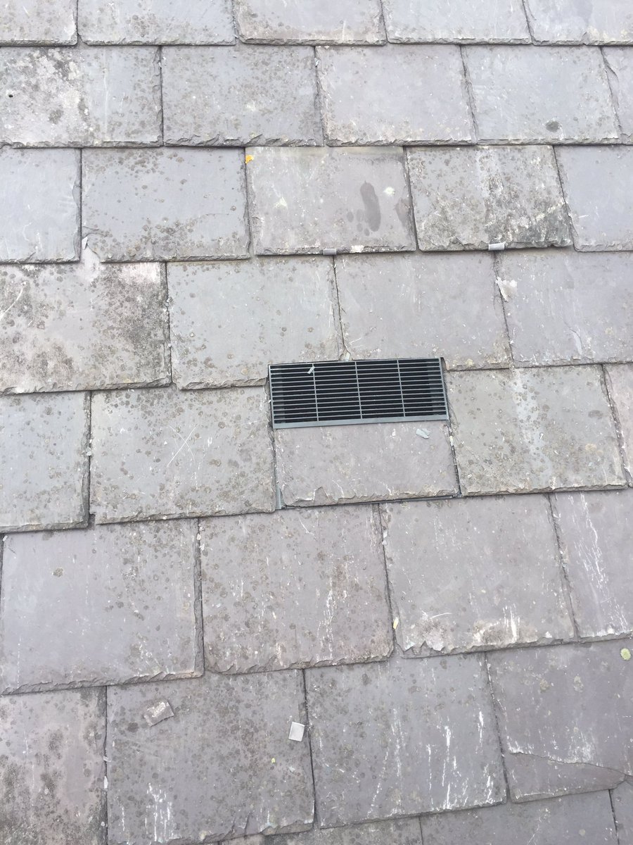 Daniel Russell tweet media