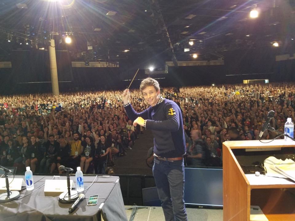 wizardingworld's tweet photo. The wand chooses the wizard, but what happened when Eddie chose Newt’s wand? https://t.co/PH4iS2LfxN https://t.co/ixpquxyzlt