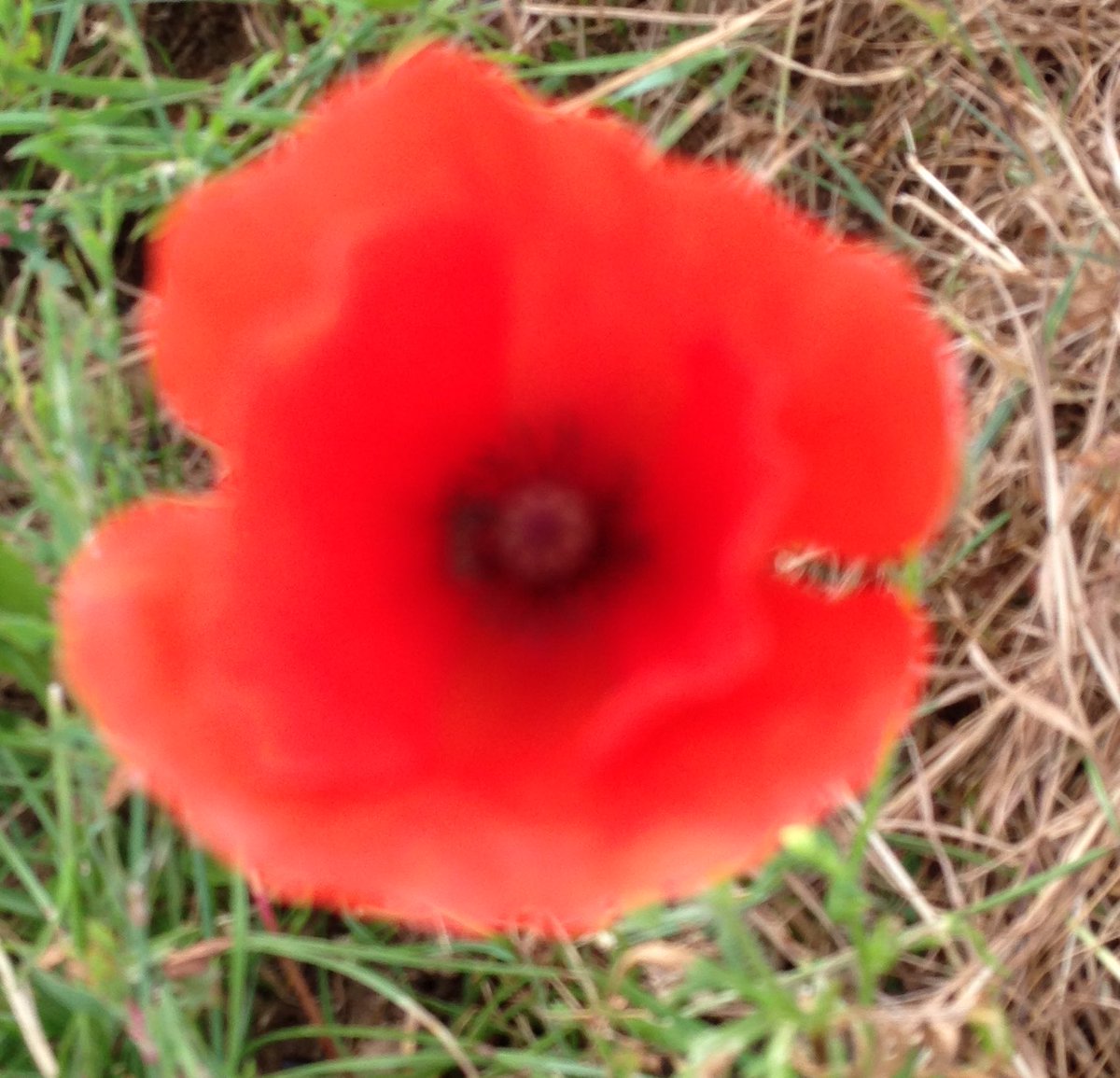 Just got back to England following an AMAZING week in Belgium with <a href="/musicmakersmk/">Music Makers MK</a>. Did someone say 2018????