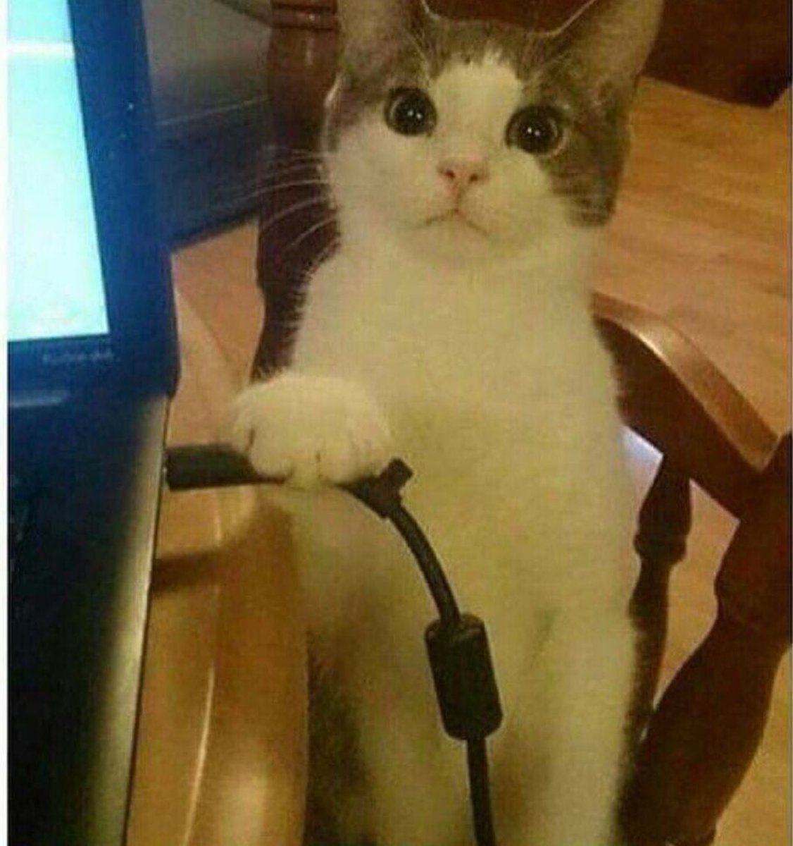 RT if you do not make the laptop dies 😂