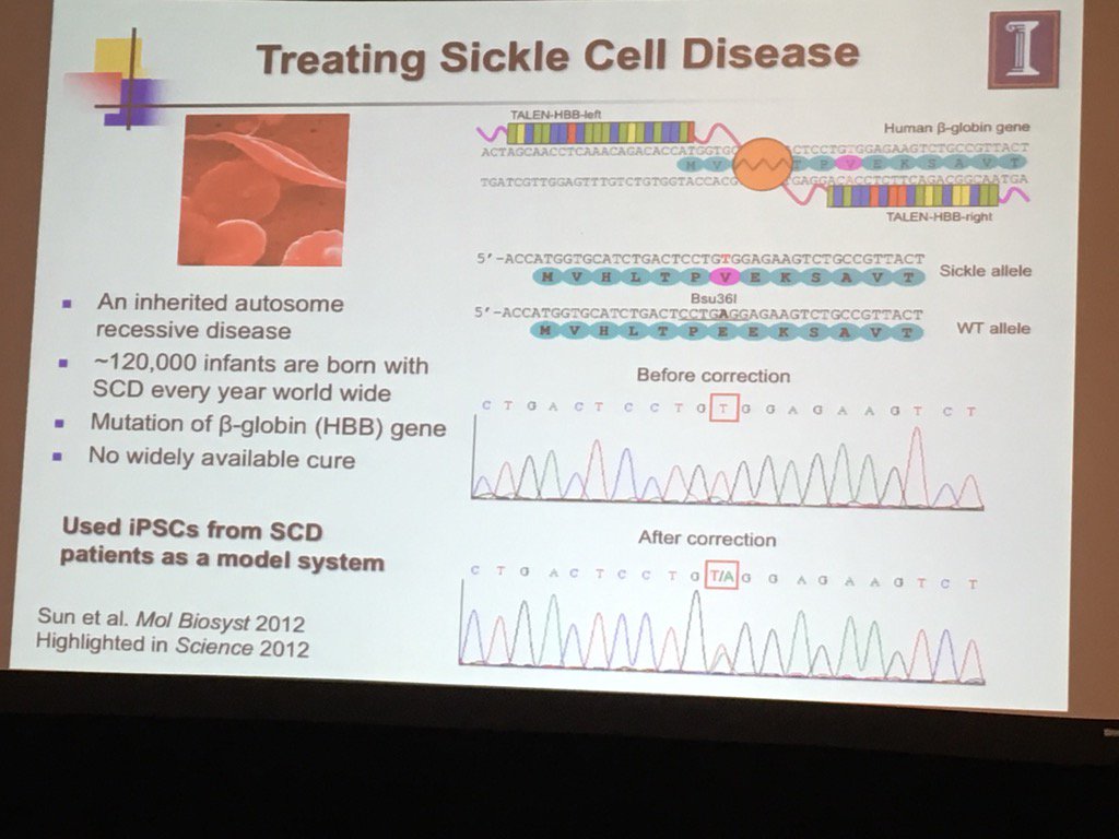 OmicsOmicsBlog's tweet photo. Zhao #SIMBAM2016 early effort - gene therapy for sickle cell disease via TALENs https://t.co/qyLQTL1lD0