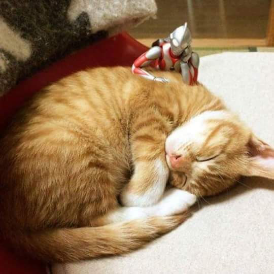 Anizasem10 tweet media