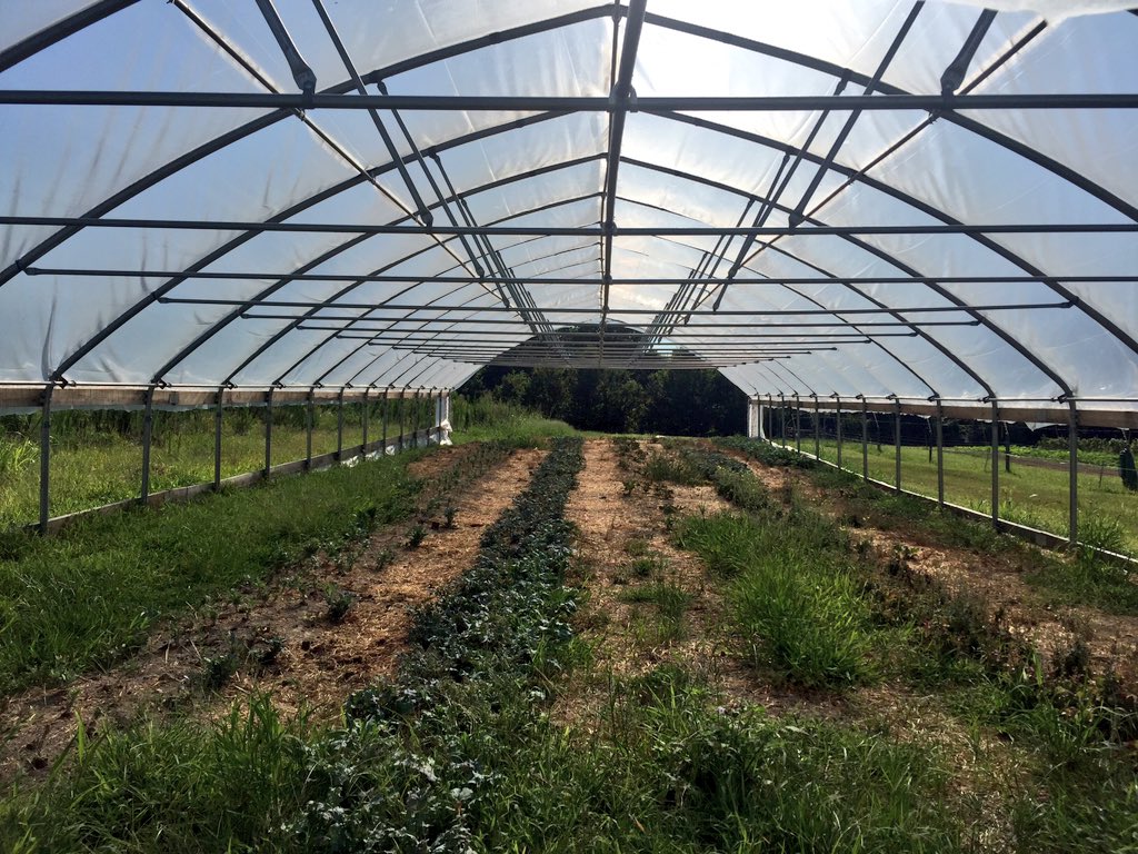 TabletopMediaGp's tweet photo. What a great time touring the @NCStateEduFarm this morning! Loved walking through the fields of melons and tomatoes. https://t.co/OS2T1dGU5G