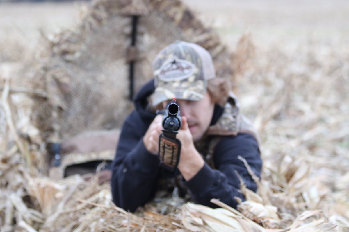 Winglock Retrievers tweet media