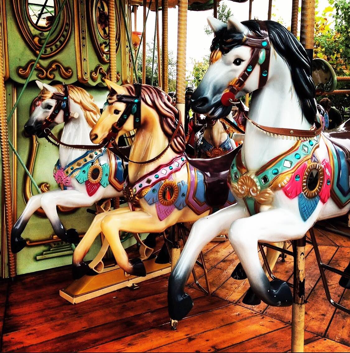 ArtKnappPoco's tweet photo. Book #parties for Funland: call 604-942-7518 ext.210 #funland #JDRF #birthday Thanks @vancouver_mom for the photo! https://t.co/hbdC5OyFKO