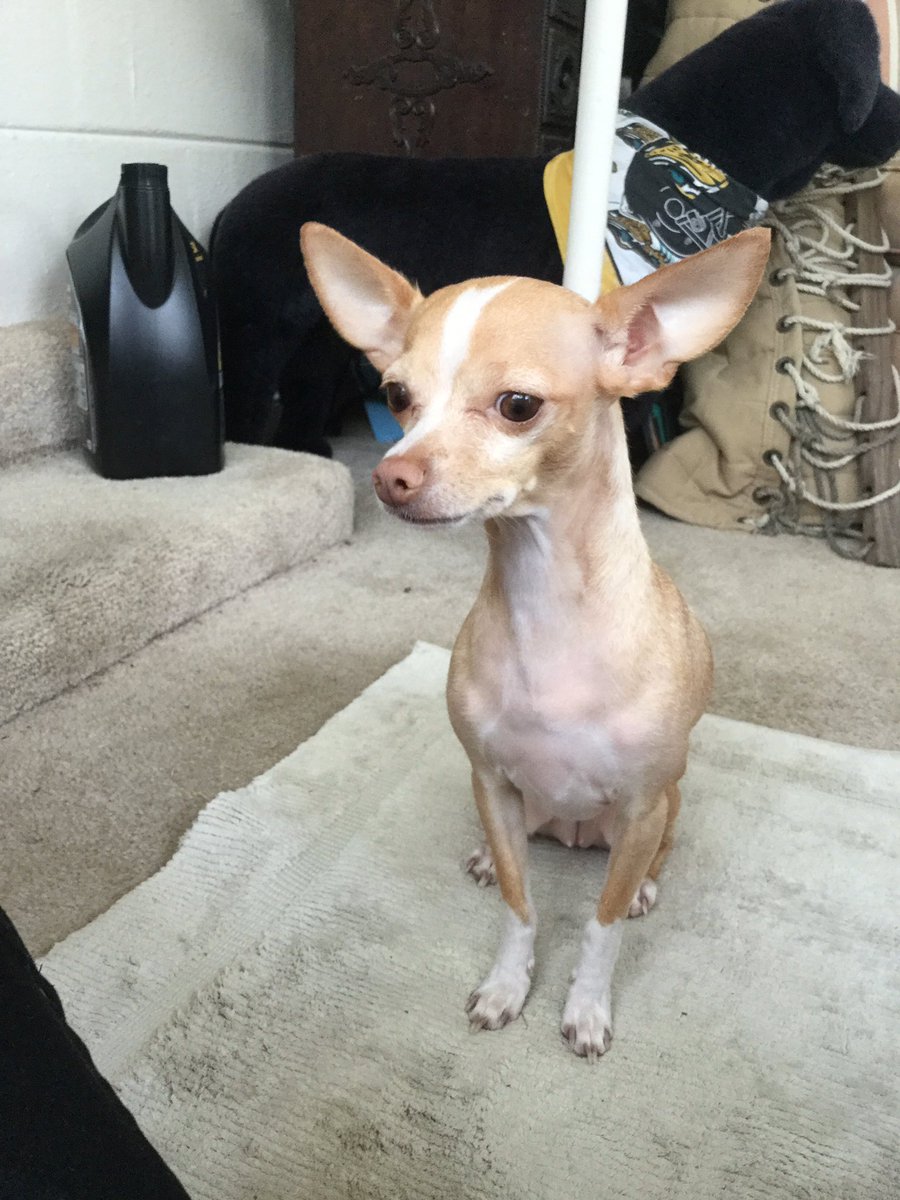 EmmaPoo5's tweet photo. I got a bath https://t.co/cIwIkuRk0g