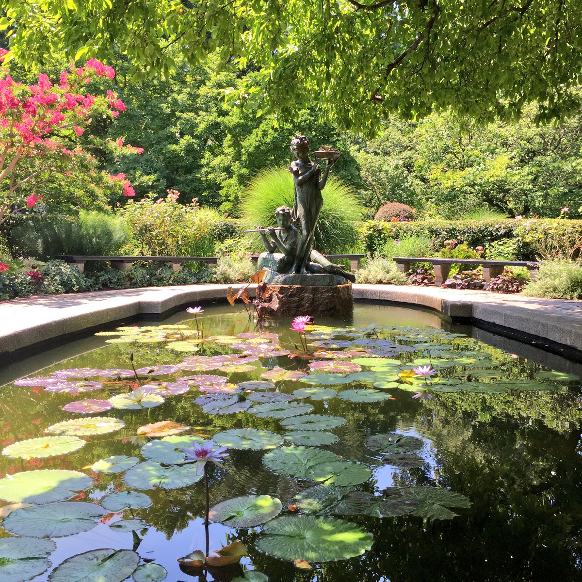 CentralParkNYC's tweet photo. "Where you tend a rose, my lad, a thistle cannot grow." (Frances Hodgson Burnett, The Secret Garden) https://t.co/Hb8Ms74tw1