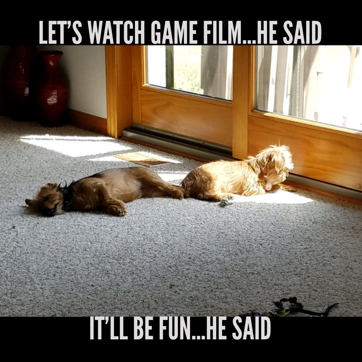 OMS2K16's tweet image. Watching an OT recruit isn&apos;t as exciting to them as I thought it would be! 
#GESAdvisory #Sporttesting
#RoxieandRuby