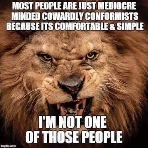 EpicallyKaren's tweet photo. I think it's time we remind them just why #TheRevolutionCannotBeStopped #WeWillNotFallInLine #WeWillNotBeSilenced https://t.co/2EvIJRqoPq