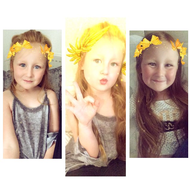 Raphaellevi tweet picture