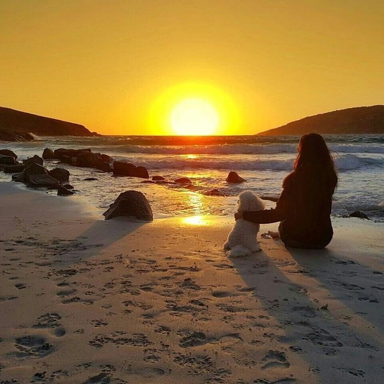 MTurismo's tweet image. GALERIA
💚 Pirenópolis (GO)
💜 Piabuçu (AL)
🖤 Fernando de Noronha (PE)
💙 Arraial do Cabo (RJ)