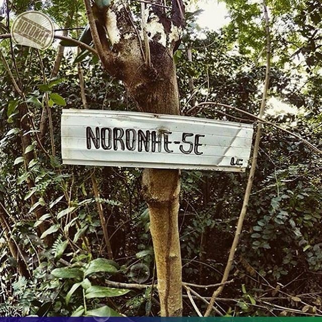 MTurismo's tweet image. GALERIA
💚 Pirenópolis (GO)
💜 Piabuçu (AL)
🖤 Fernando de Noronha (PE)
💙 Arraial do Cabo (RJ)