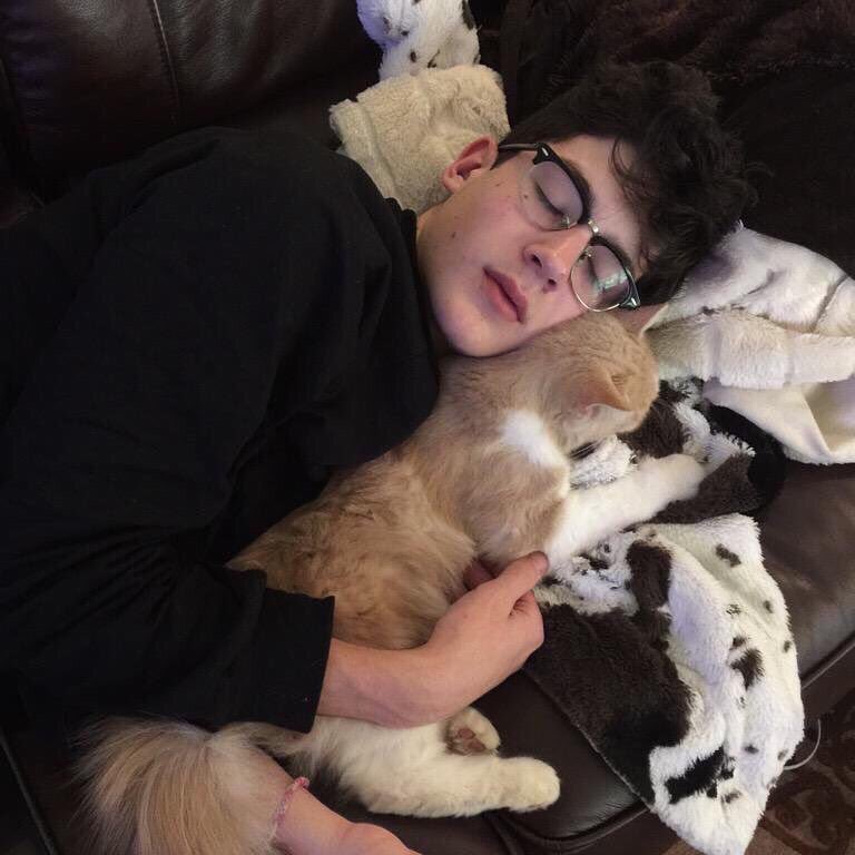 adudascott's tweet photo. quando o crush fala "eu adoro gatos" https://t.co/3RHBK39Wn2
